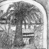  'Palme vor dem  Hotelzimmer' - Bleistiftskizze 1 - 28x21cm - 12.06.16